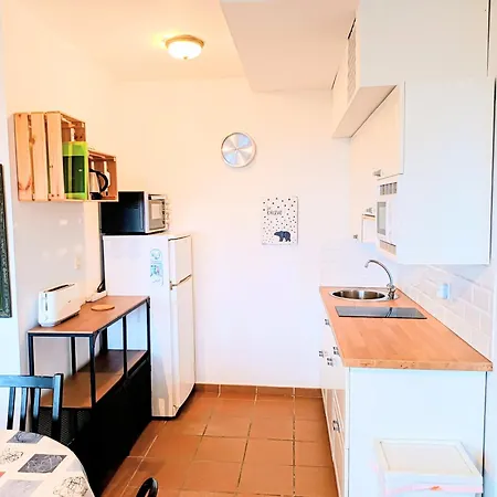 Area Nevada Acogedor En