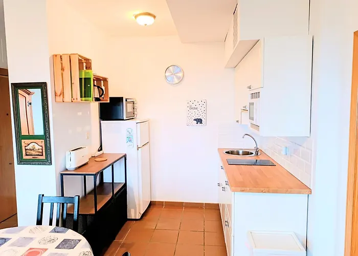 Area Nevada Acogedor En